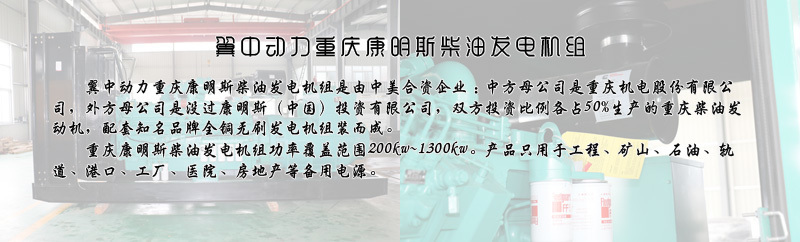 1552549221503762.jpg 翼中動(dòng)力重慶康明斯柴油發(fā)電機(jī)組